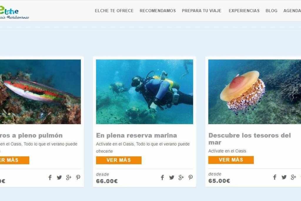 Apartamentos Full Equipped Elche Kültér fotó